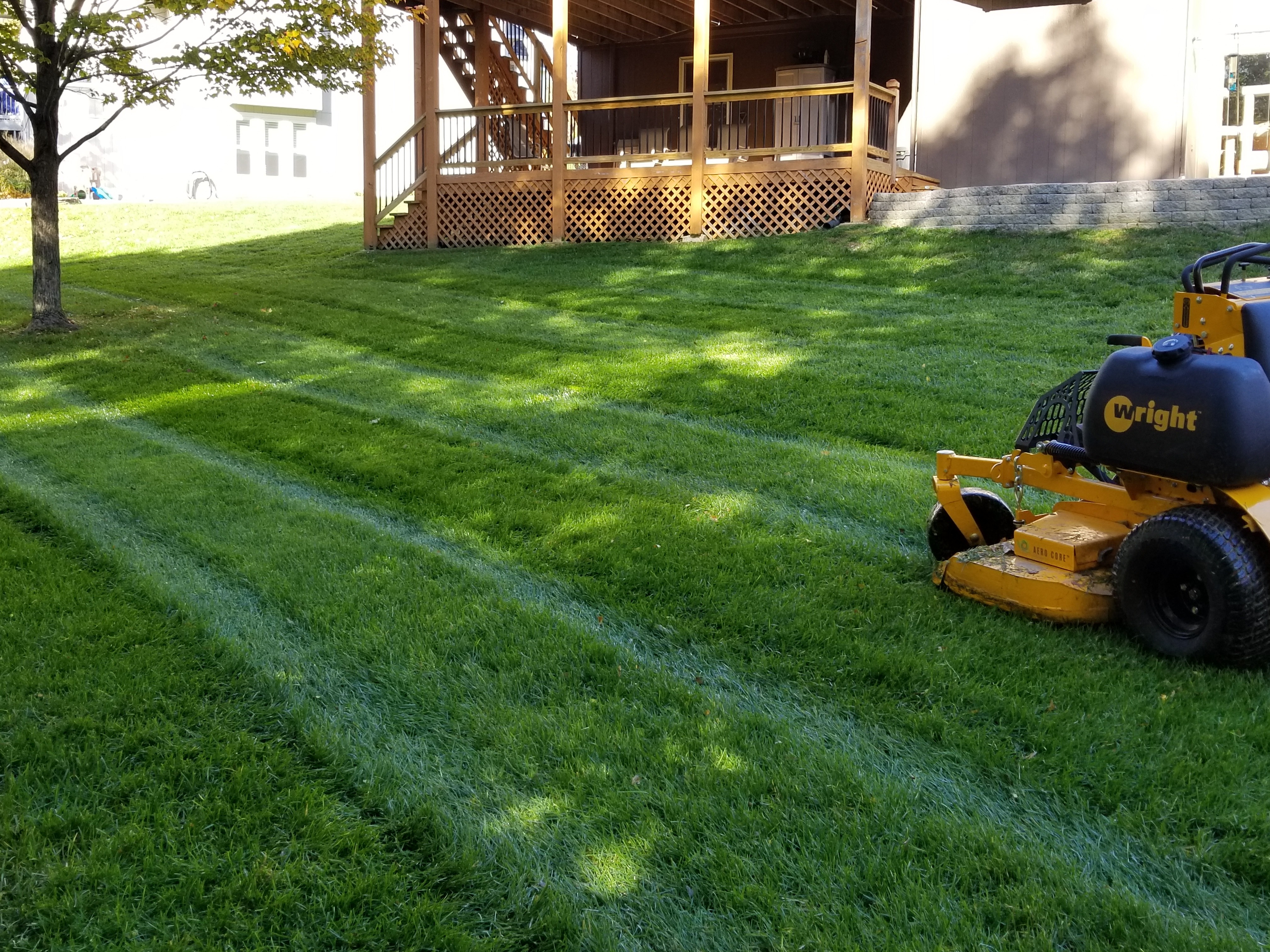 Striped weekly mowing