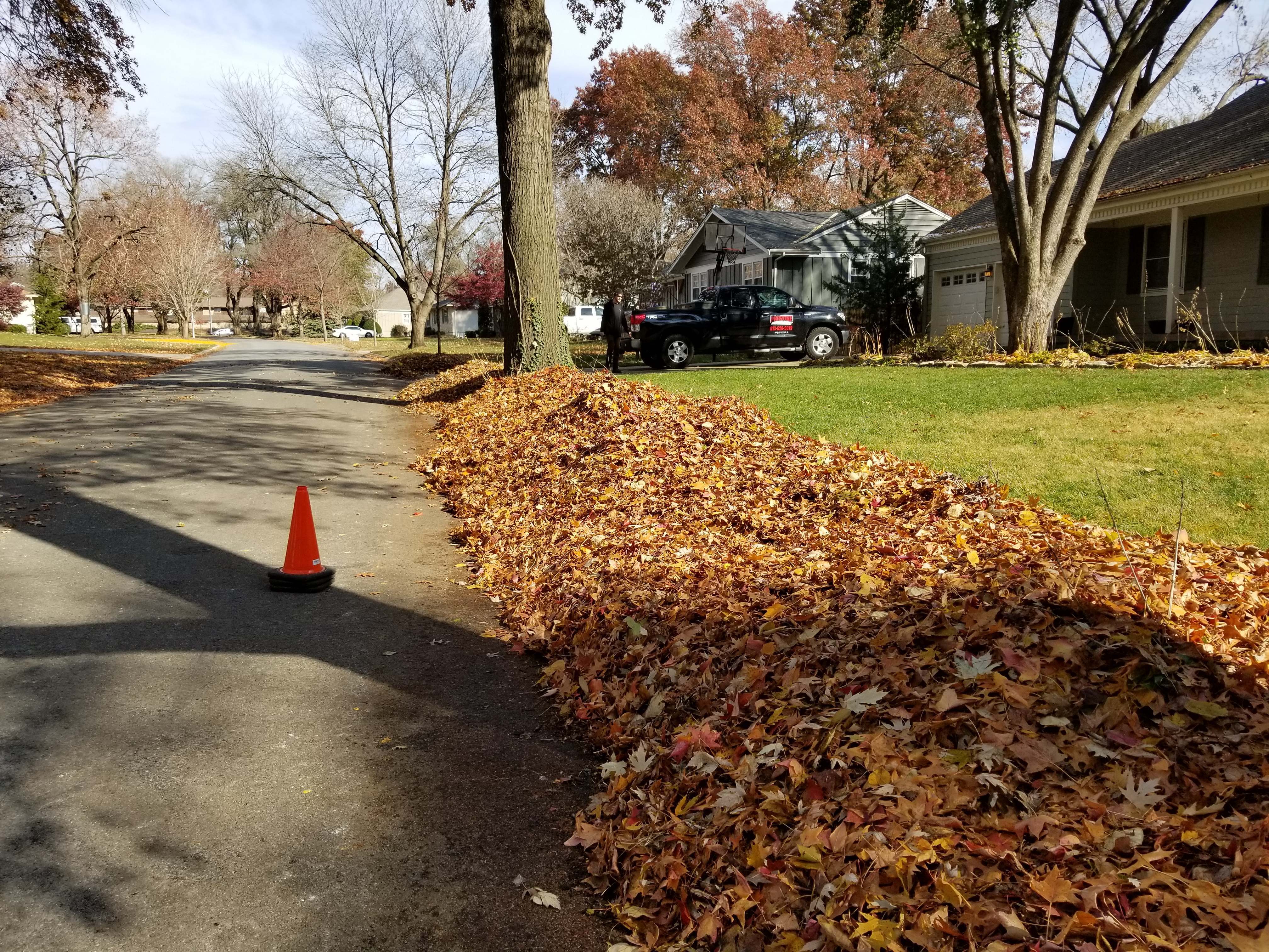 Fall leaves raked to the curb beside a clean lawn with a Pristine truck in the driveway