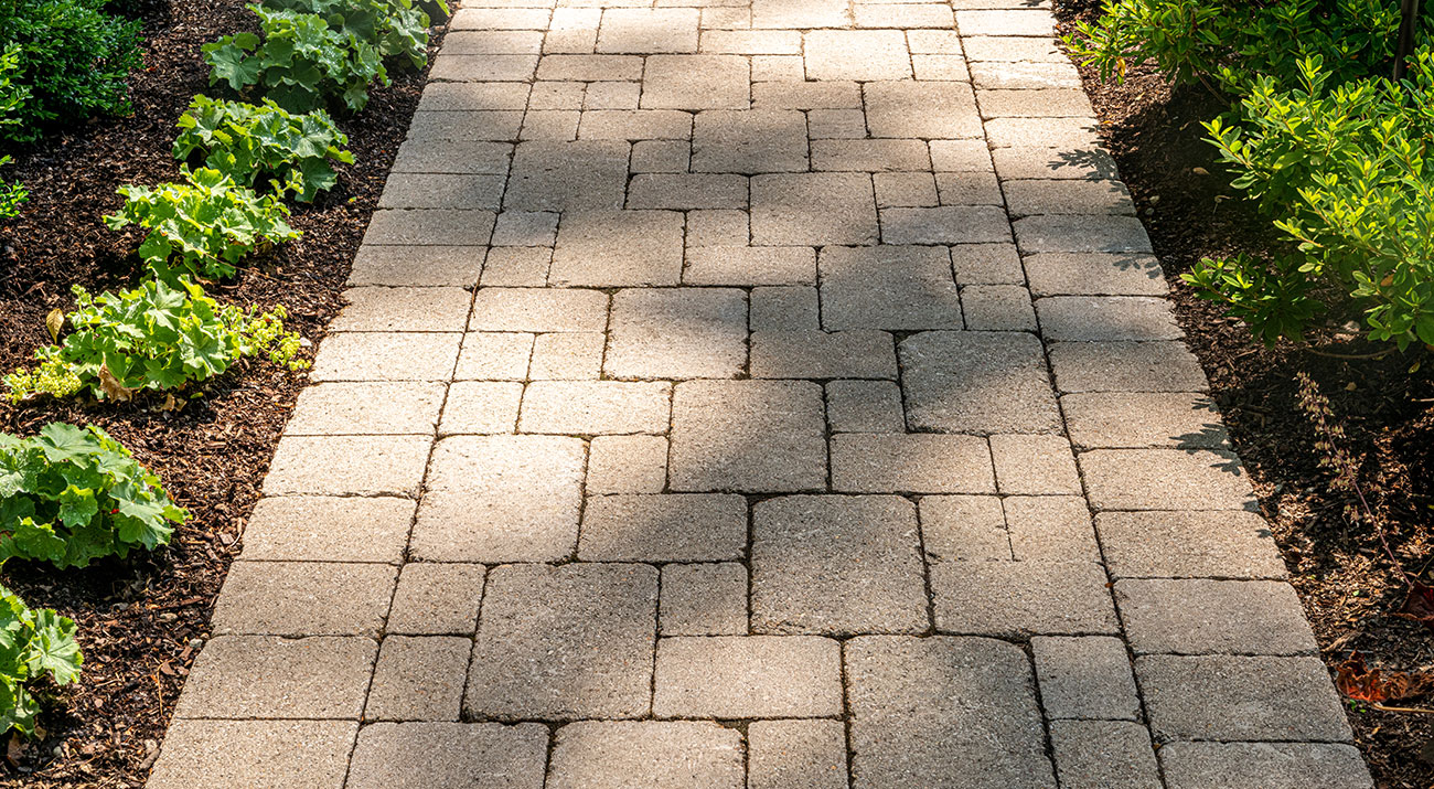 Brussels paver walkway in sandstone between planting beds